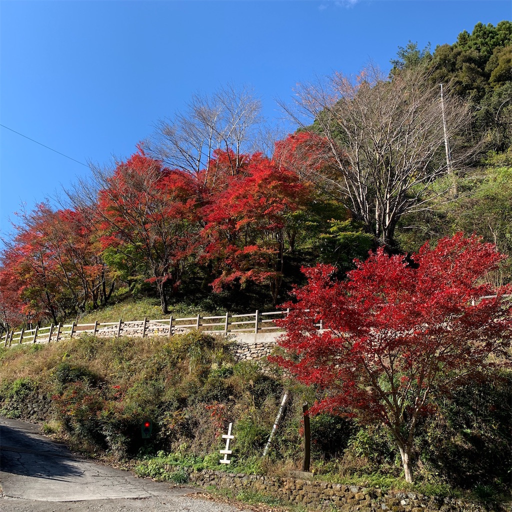 f:id:keikostyle:20201223080906j:image