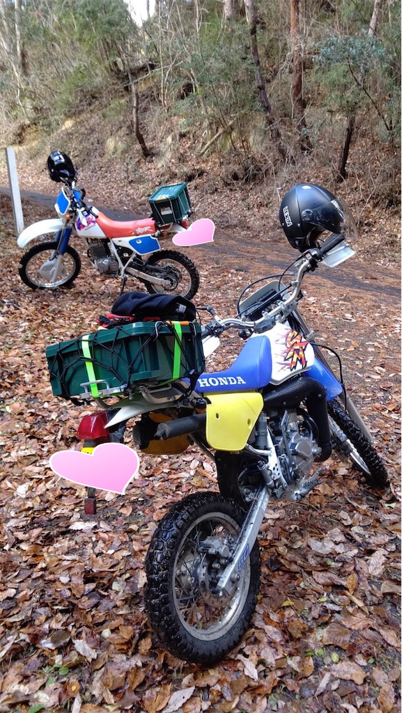 f:id:keikostyle:20210104085514j:image