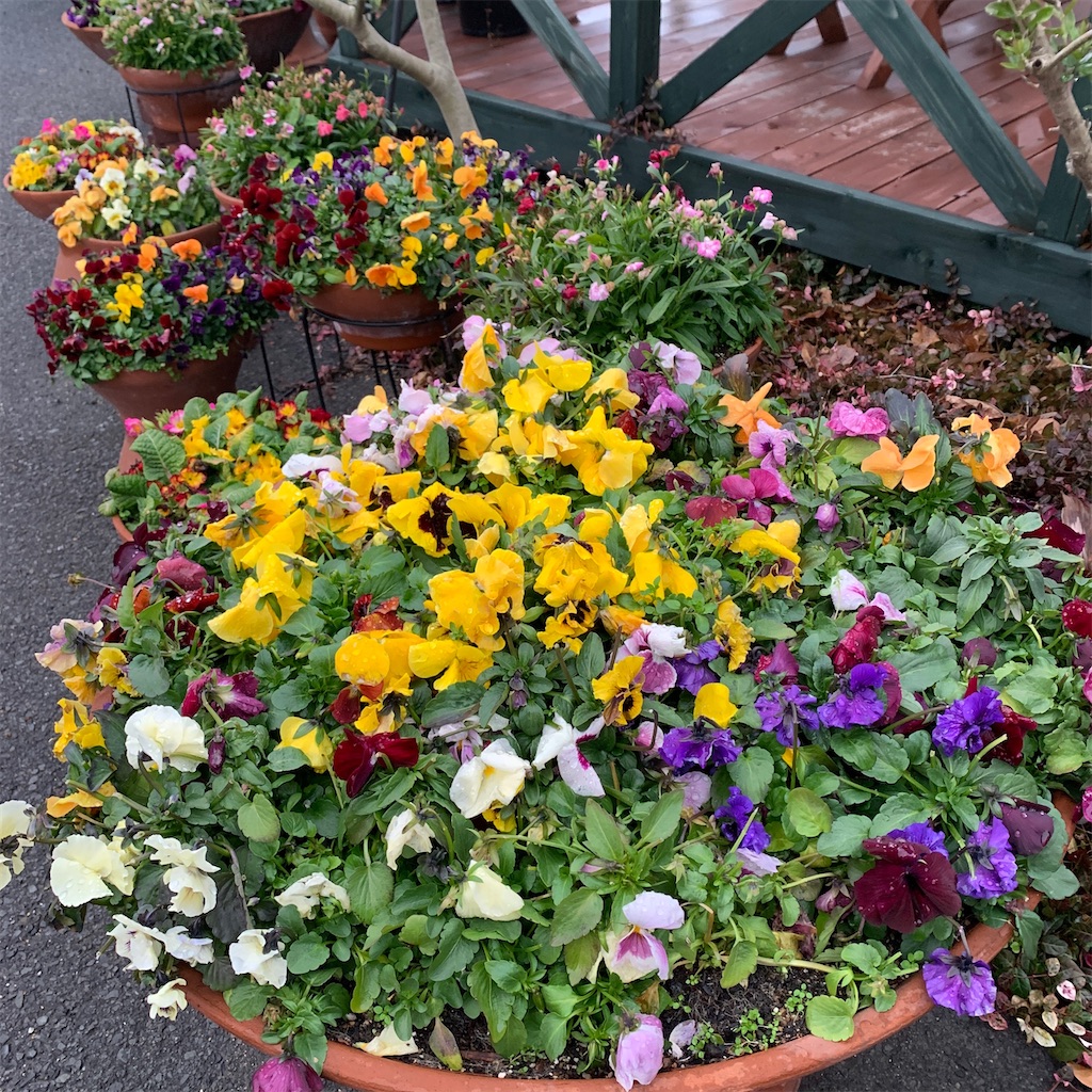 f:id:keikostyle:20210124192907j:image