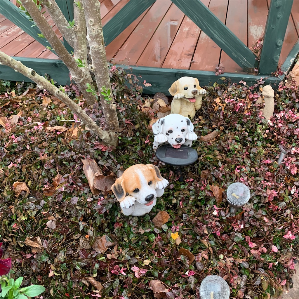 f:id:keikostyle:20210124192910j:image