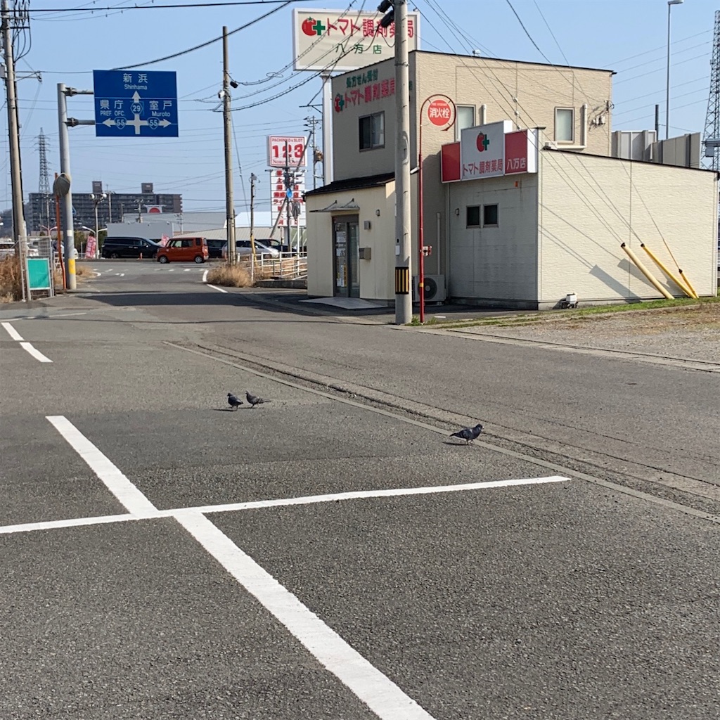 f:id:keikostyle:20210131140944j:image