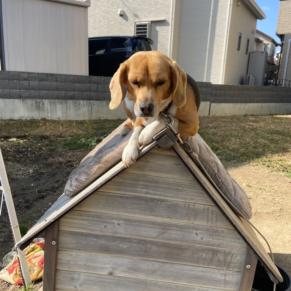 f:id:keikostyle:20210203122028j:image