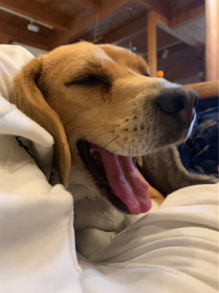 f:id:keikostyle:20210203130330j:image