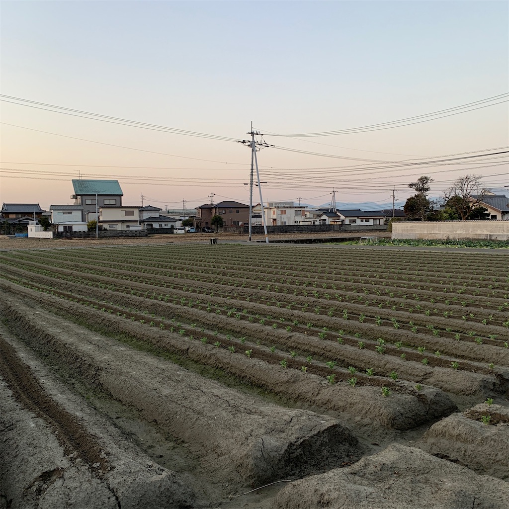 f:id:keikostyle:20210207072830j:image