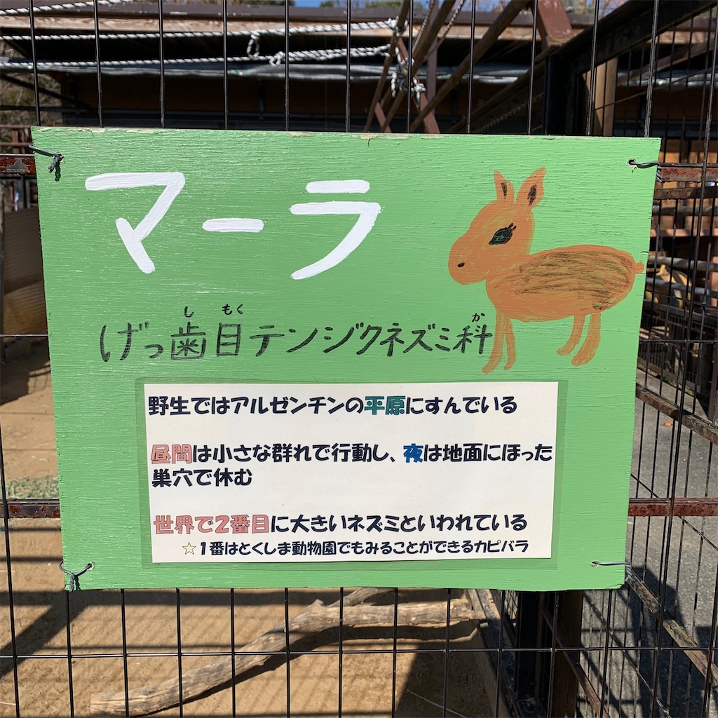 f:id:keikostyle:20210210154217j:image