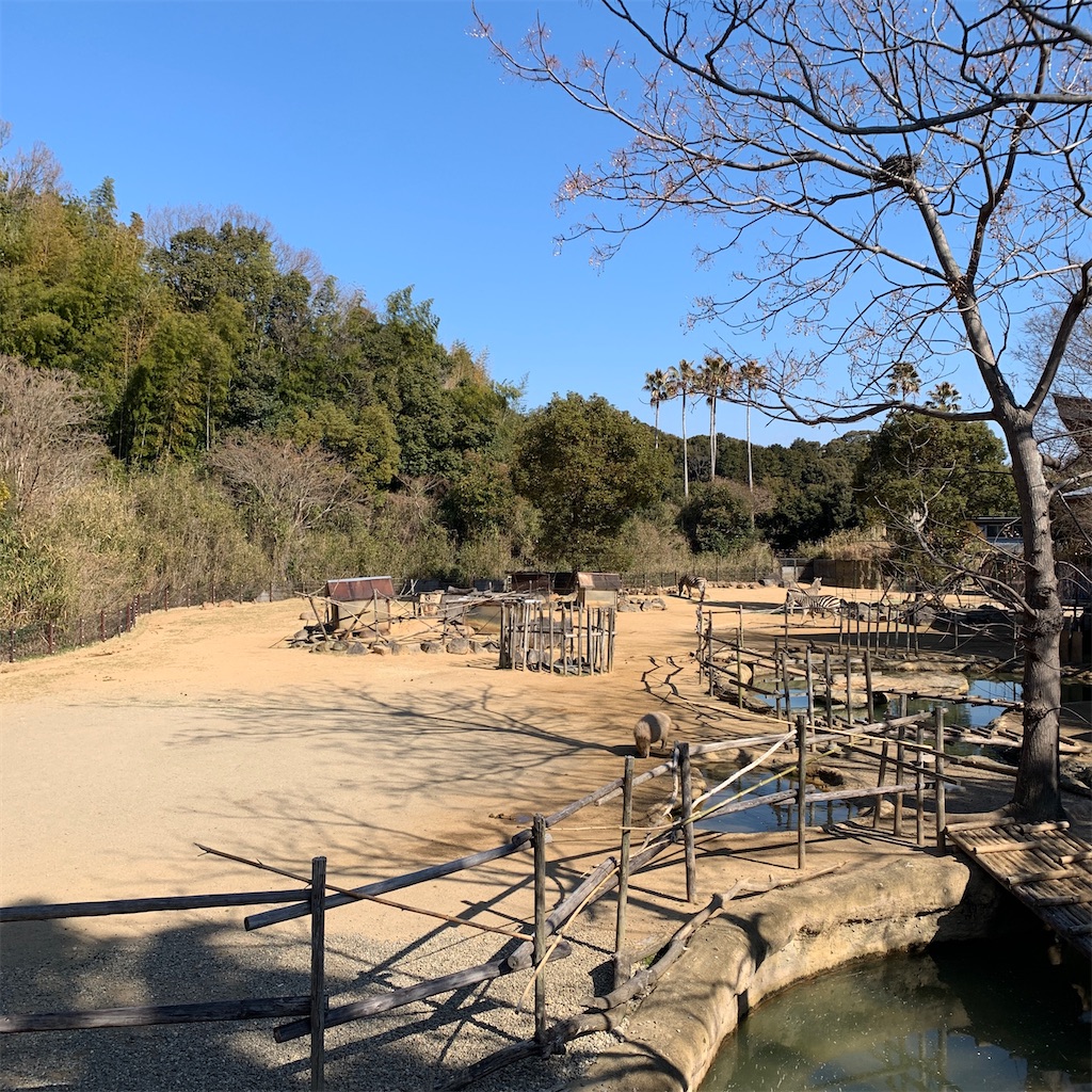 f:id:keikostyle:20210210154224j:image