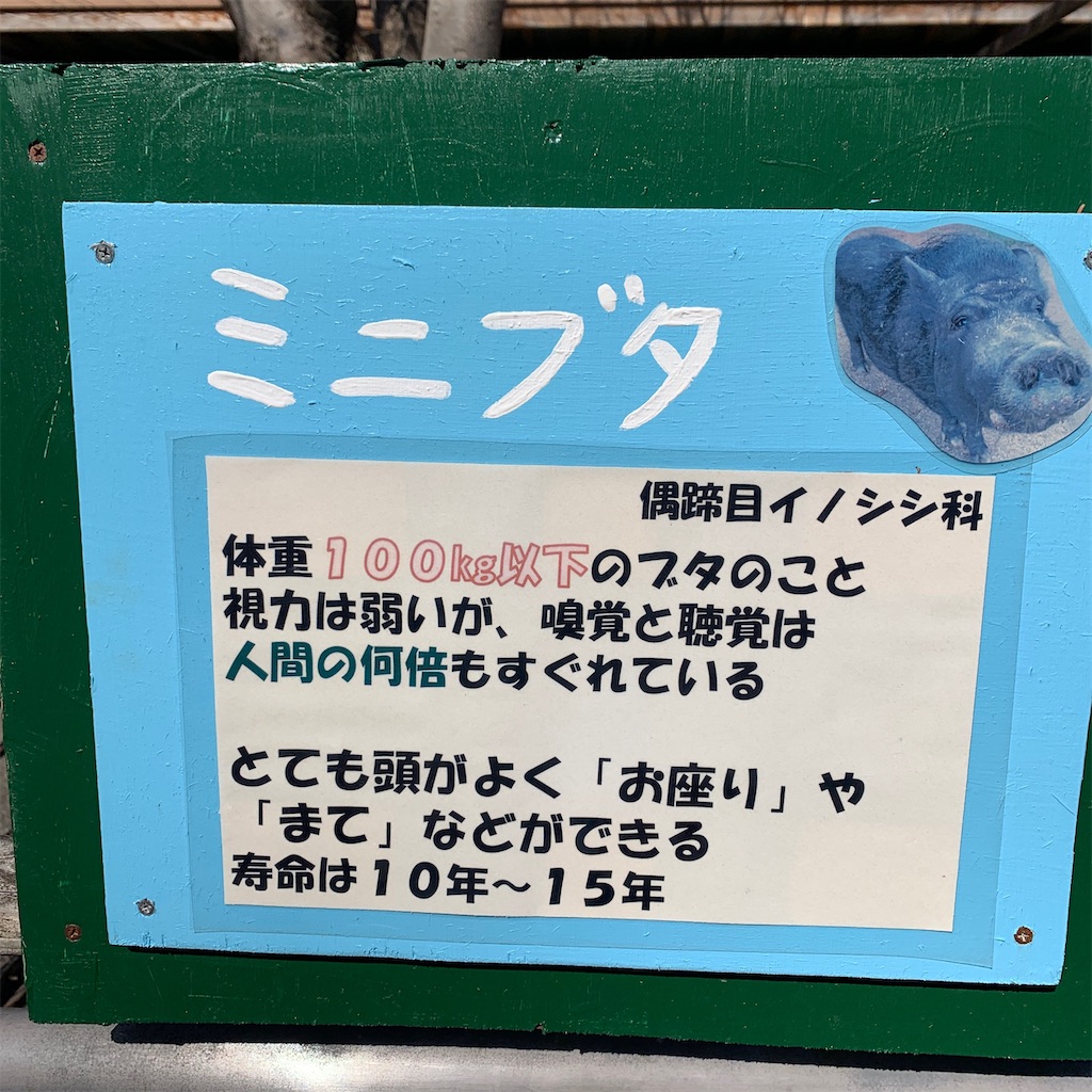 f:id:keikostyle:20210210154227j:image