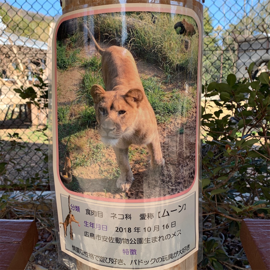 f:id:keikostyle:20210210154249j:image