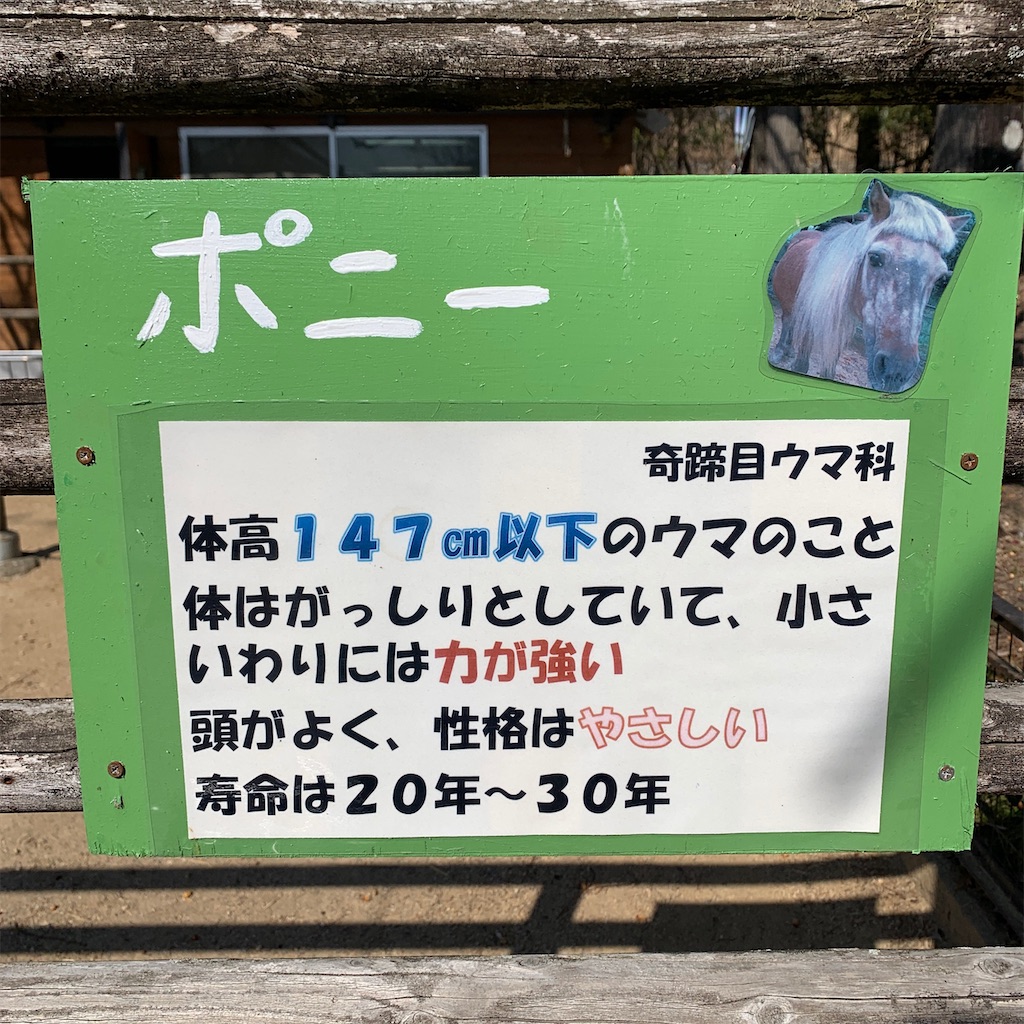 f:id:keikostyle:20210210154330j:image