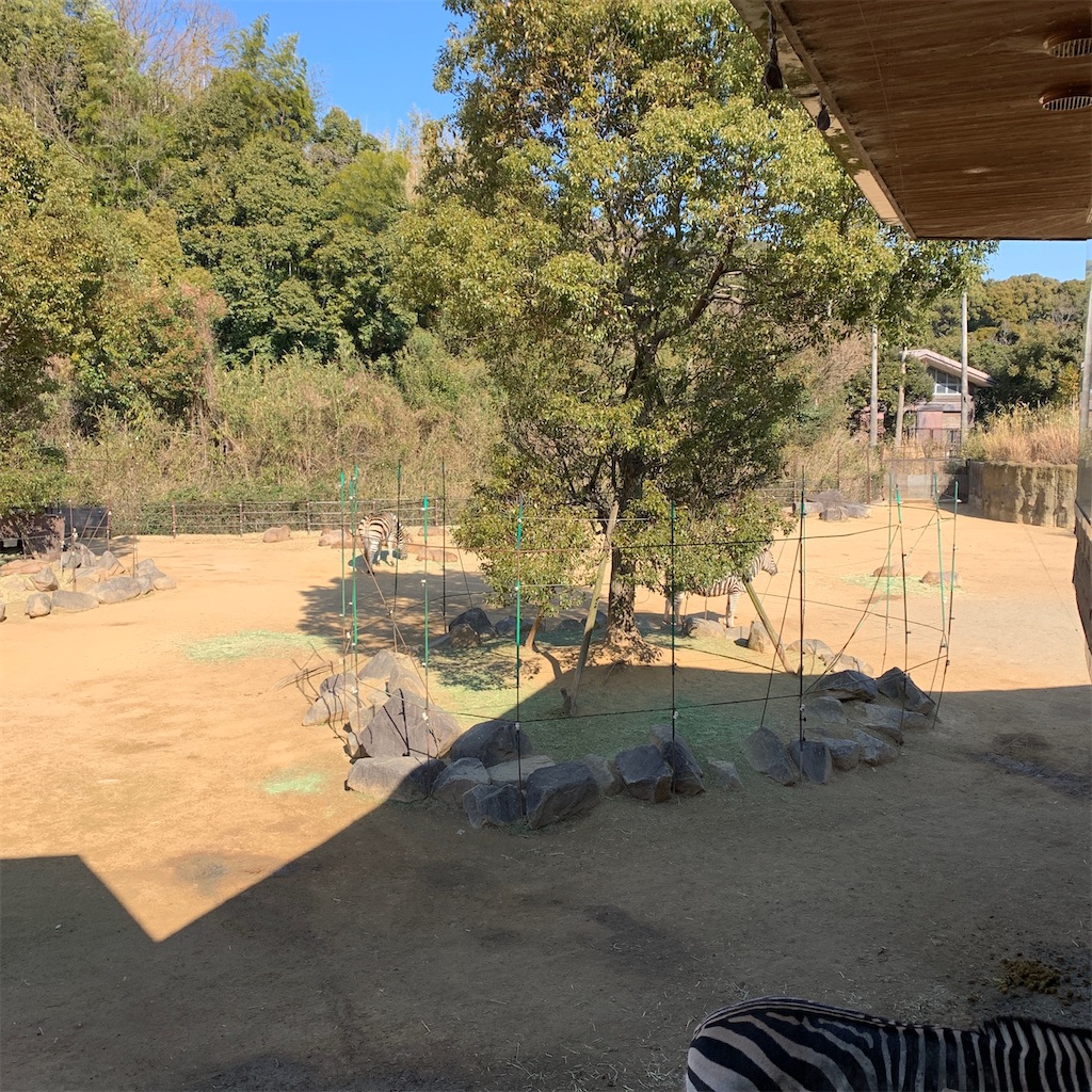 f:id:keikostyle:20210210154353j:image