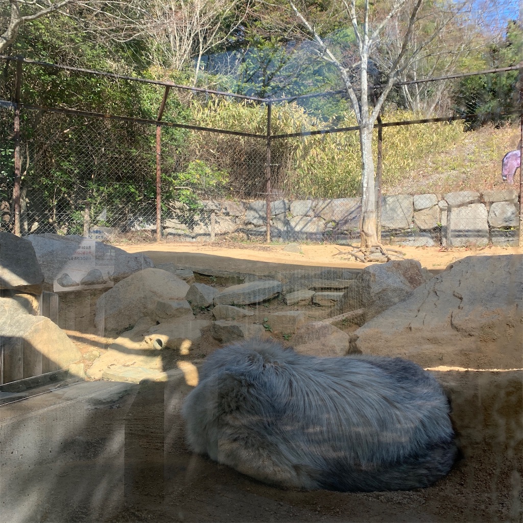 f:id:keikostyle:20210210154407j:image