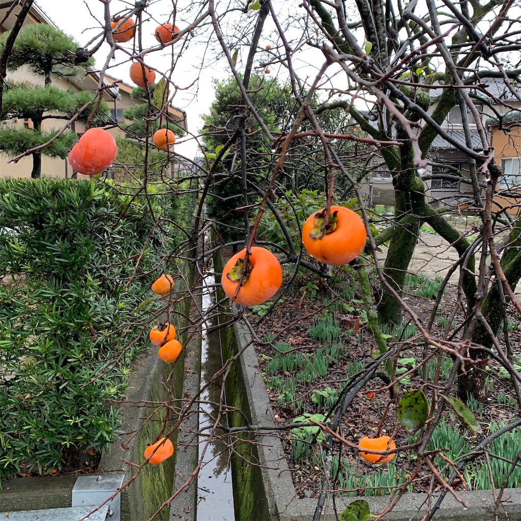 f:id:keikostyle:20210213064121j:image