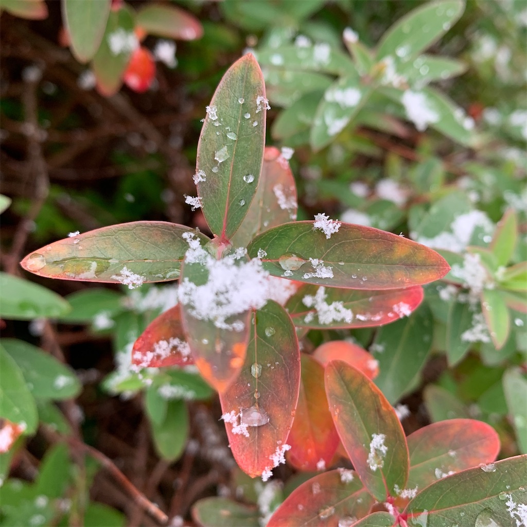 f:id:keikostyle:20210301200546j:image