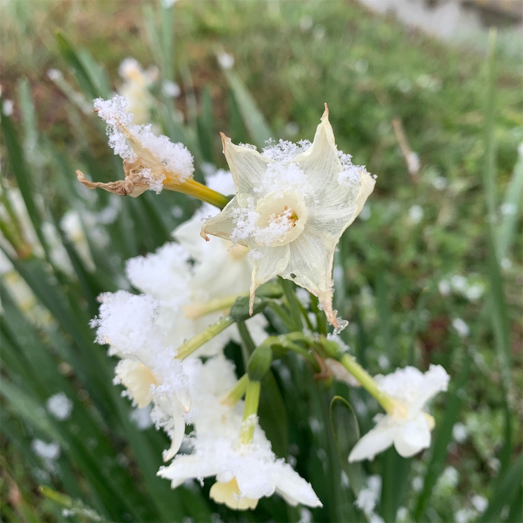 f:id:keikostyle:20210301200615j:image