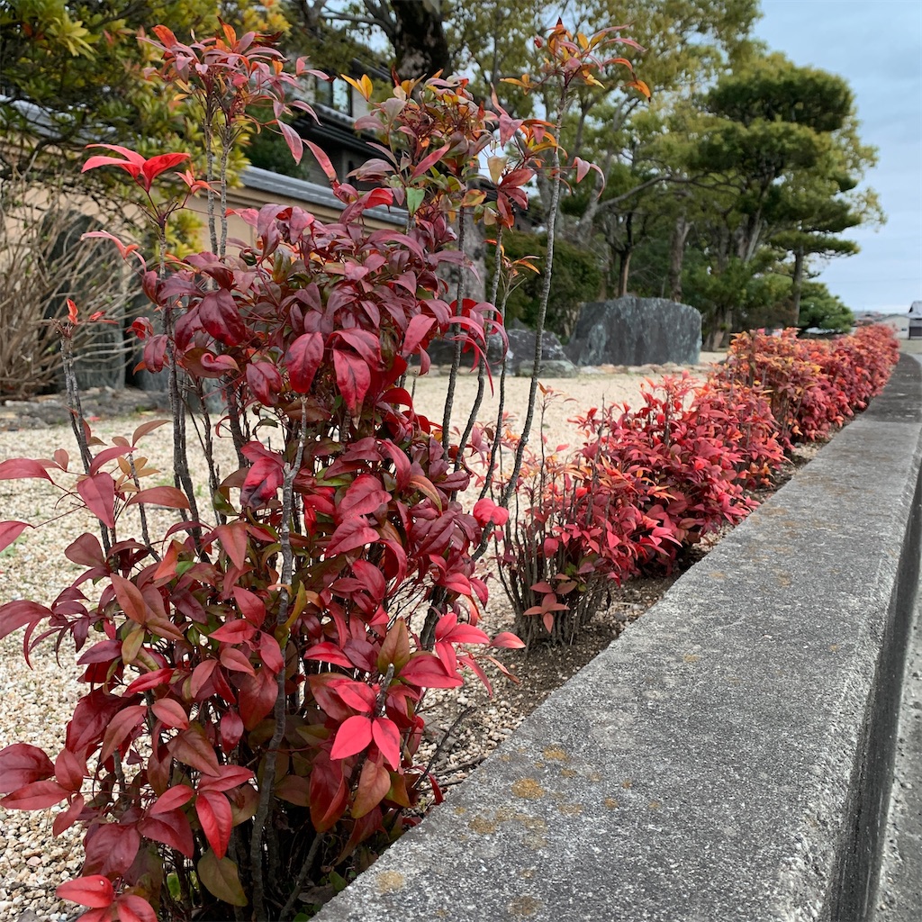 f:id:keikostyle:20210303071323j:image