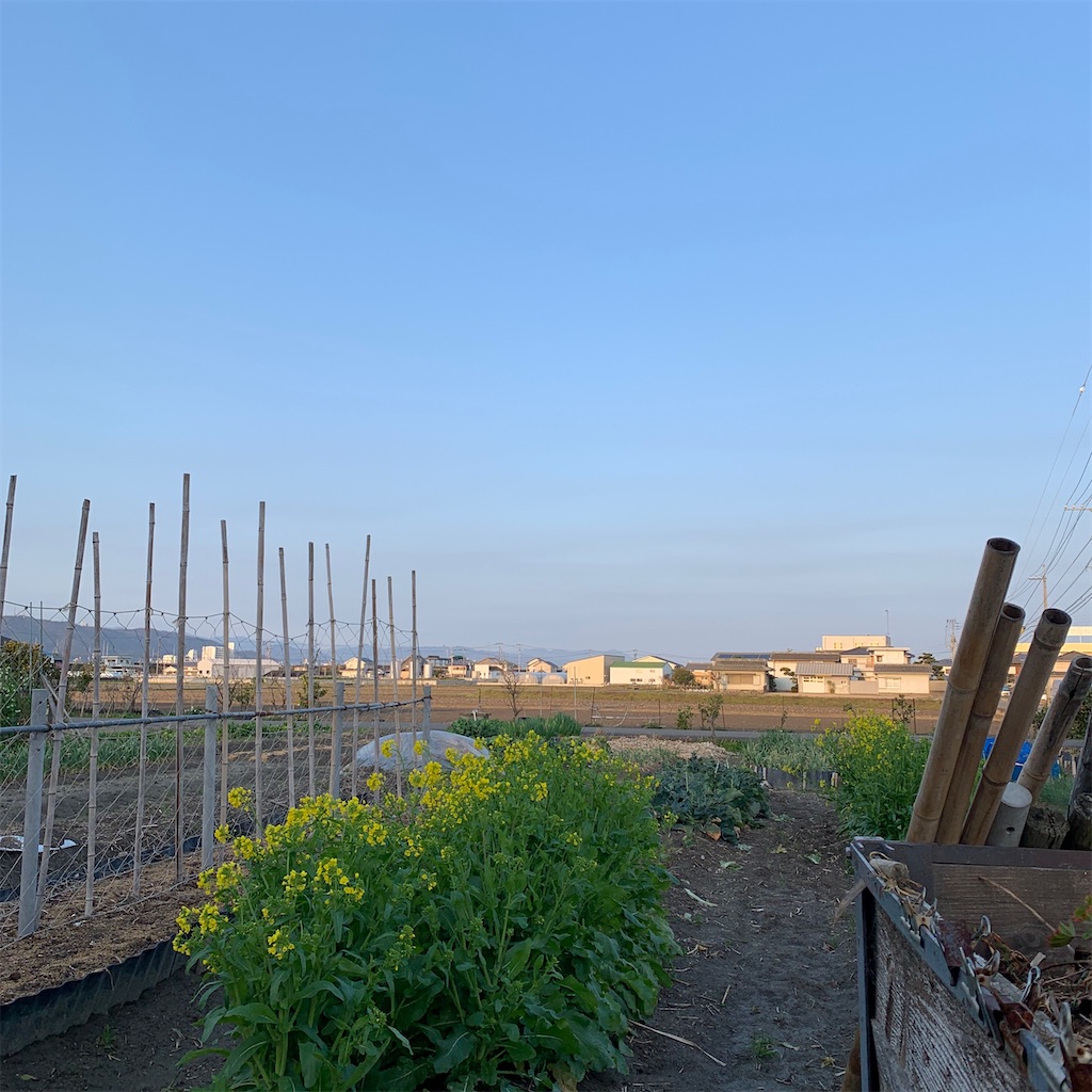 f:id:keikostyle:20210314071605j:image