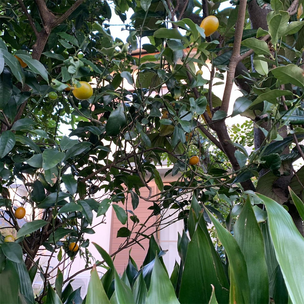 f:id:keikostyle:20210314071628j:image