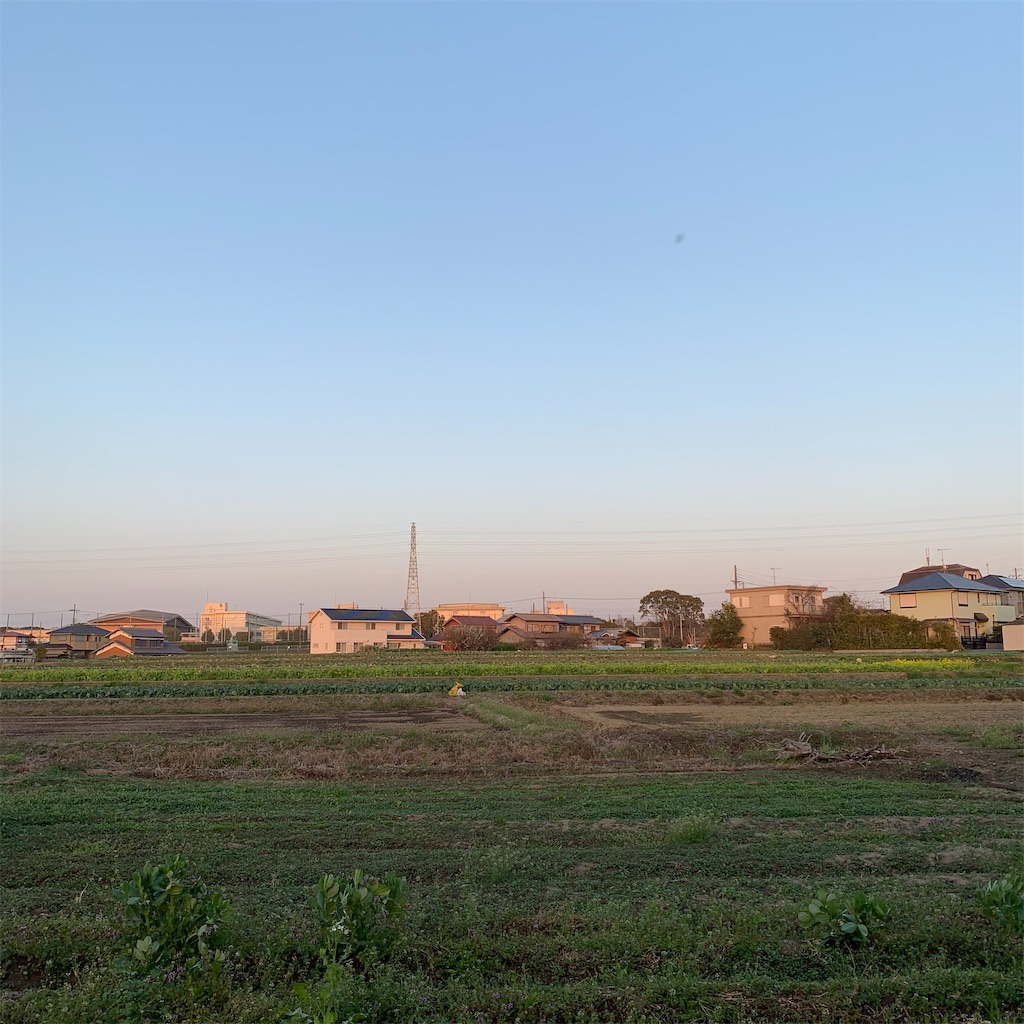 f:id:keikostyle:20210323180643j:image