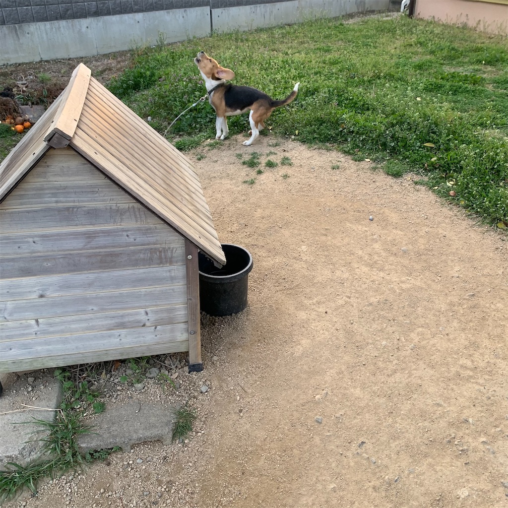 f:id:keikostyle:20210326181420j:image