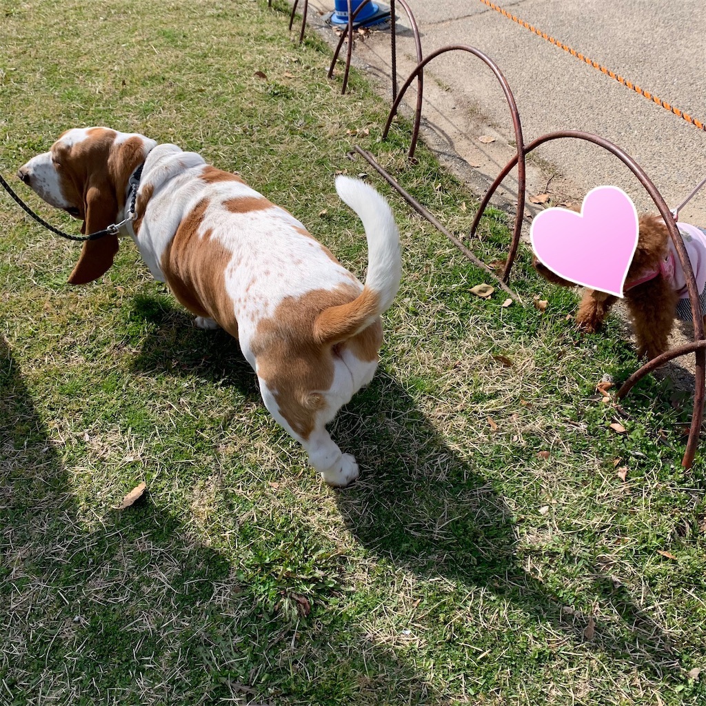 f:id:keikostyle:20210328085244j:image