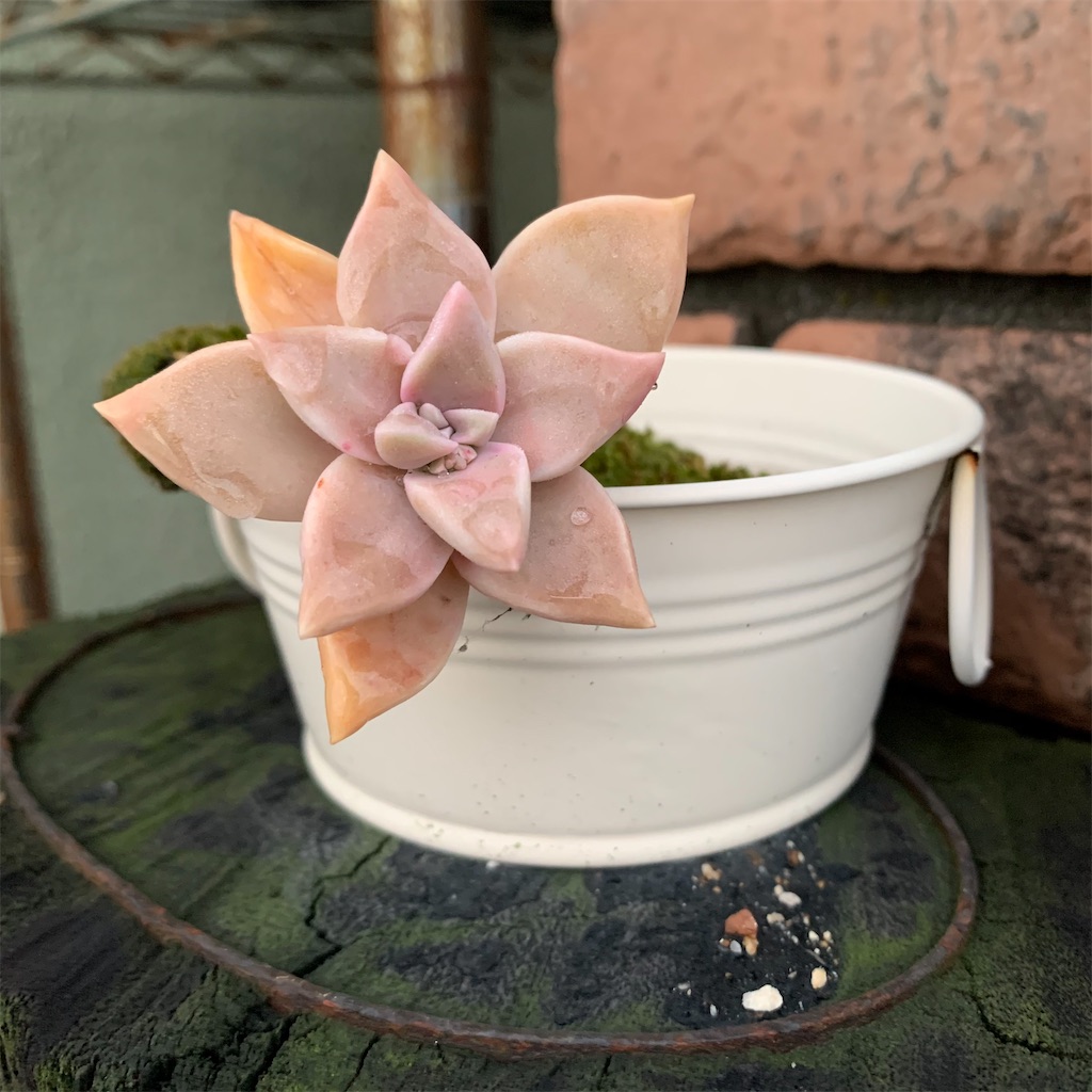 f:id:keikostyle:20210329063802j:image