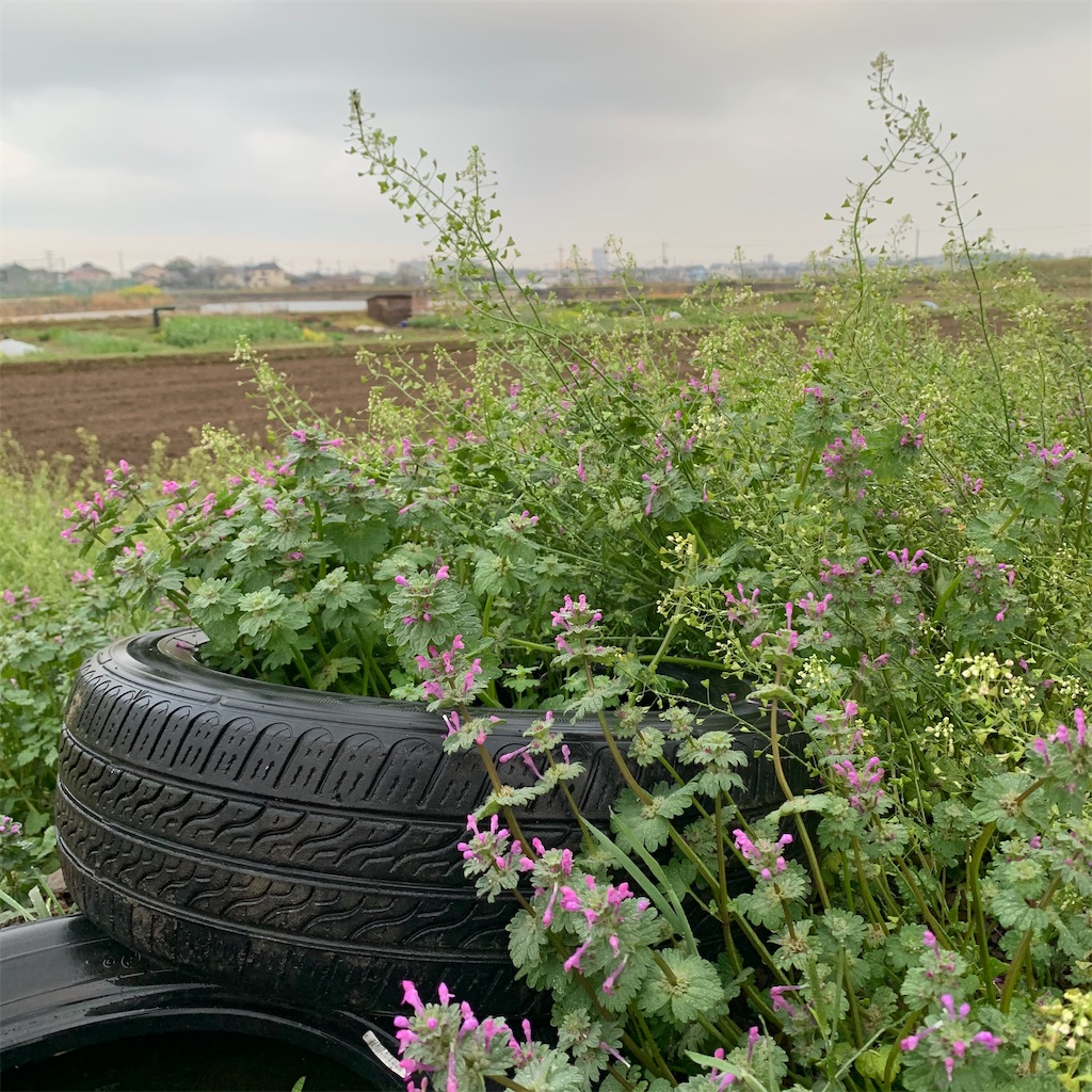 f:id:keikostyle:20210329063815j:image