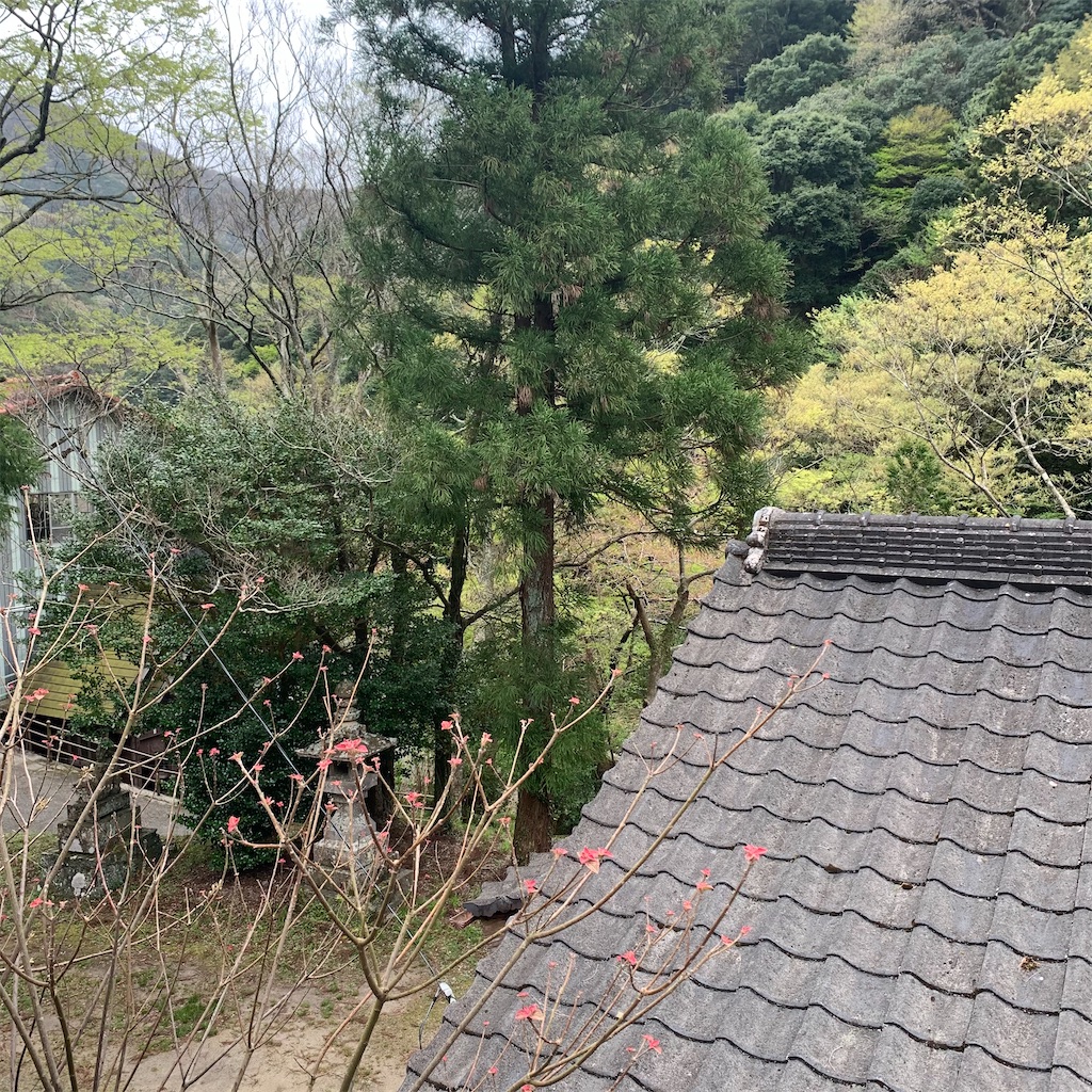 f:id:keikostyle:20210404152138j:image