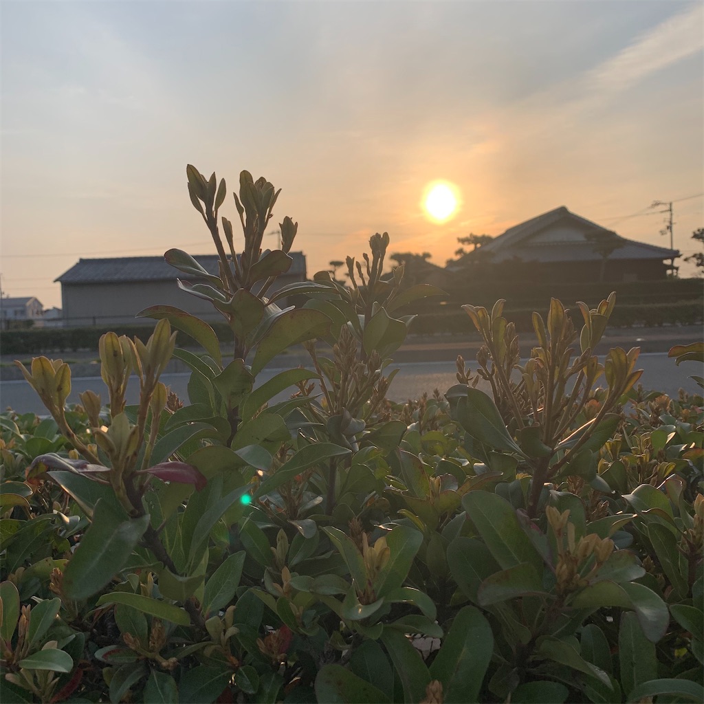 f:id:keikostyle:20210408064612j:image