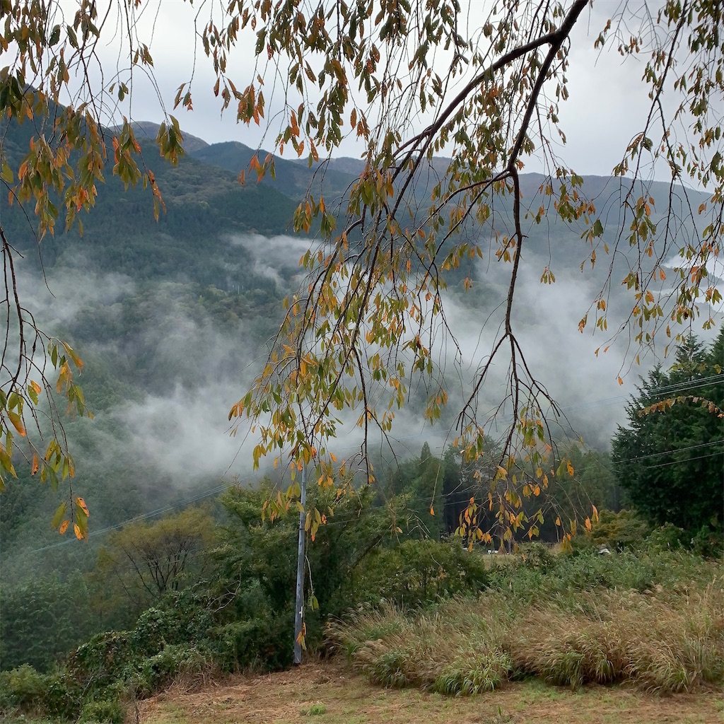 f:id:keikostyle:20210414161414j:image