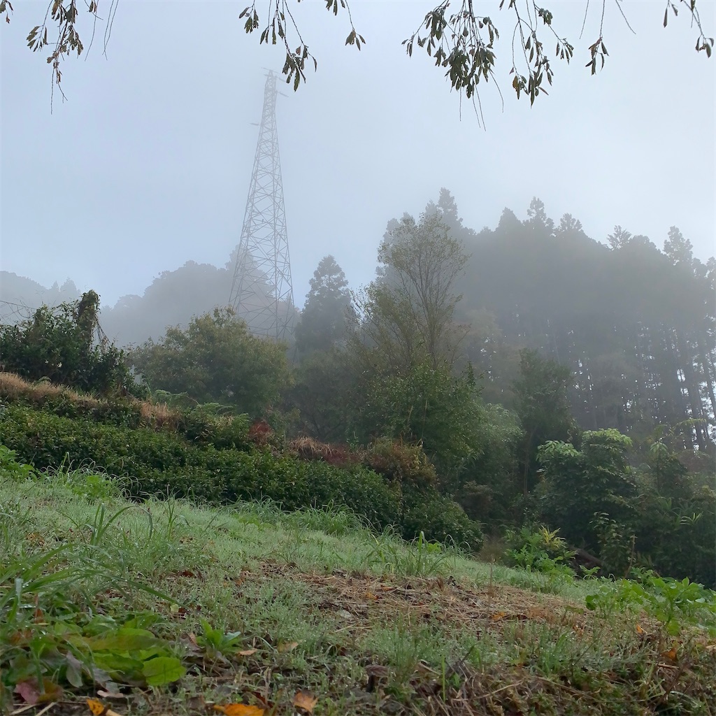 f:id:keikostyle:20210414161434j:image