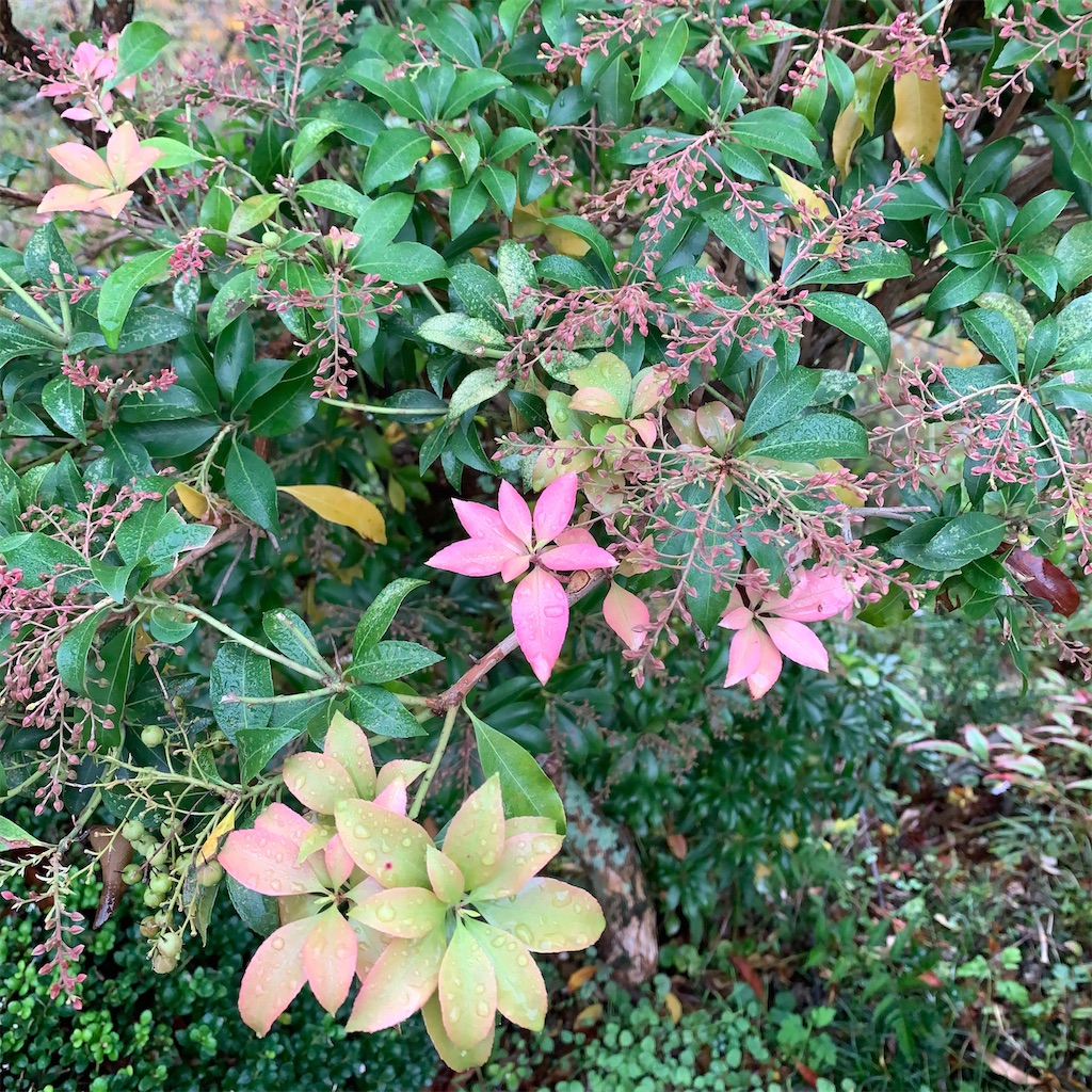 f:id:keikostyle:20210414161541j:image