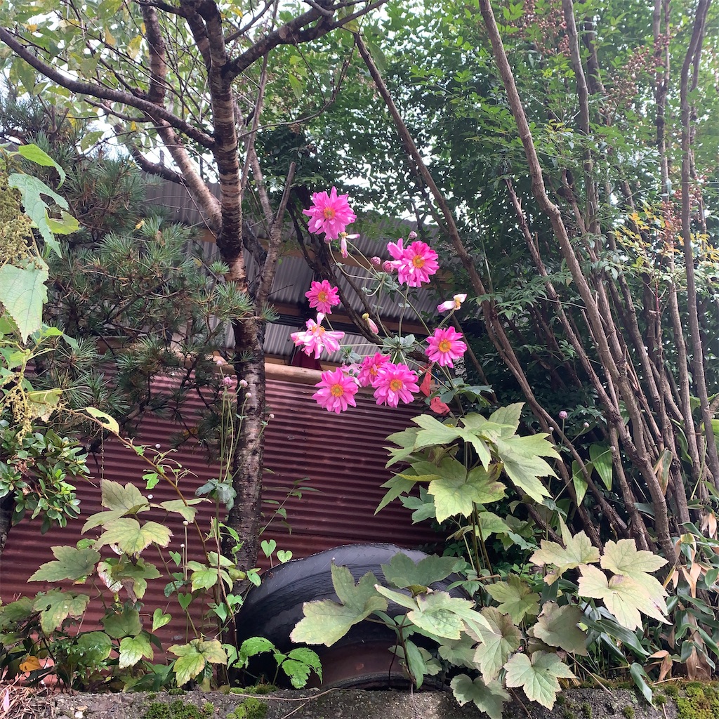 f:id:keikostyle:20210414162429j:image