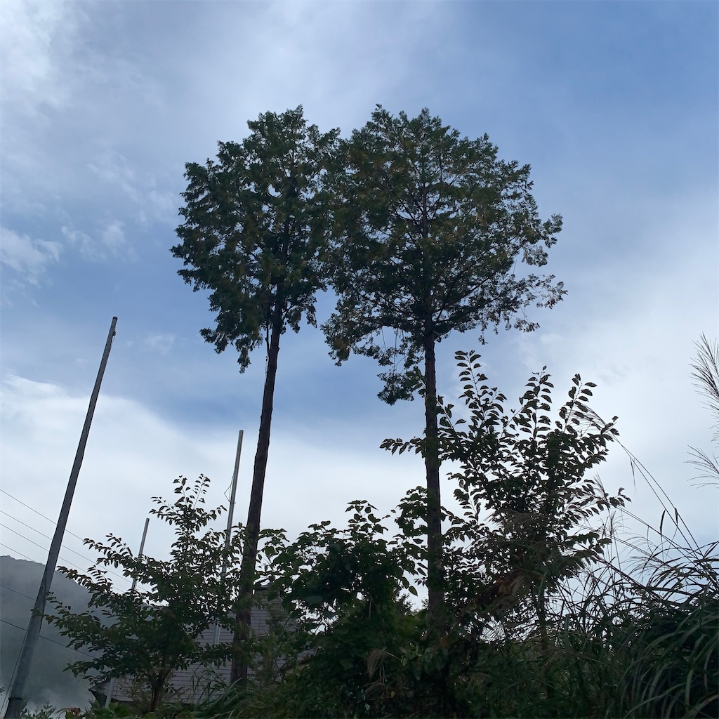 f:id:keikostyle:20210414162509j:image