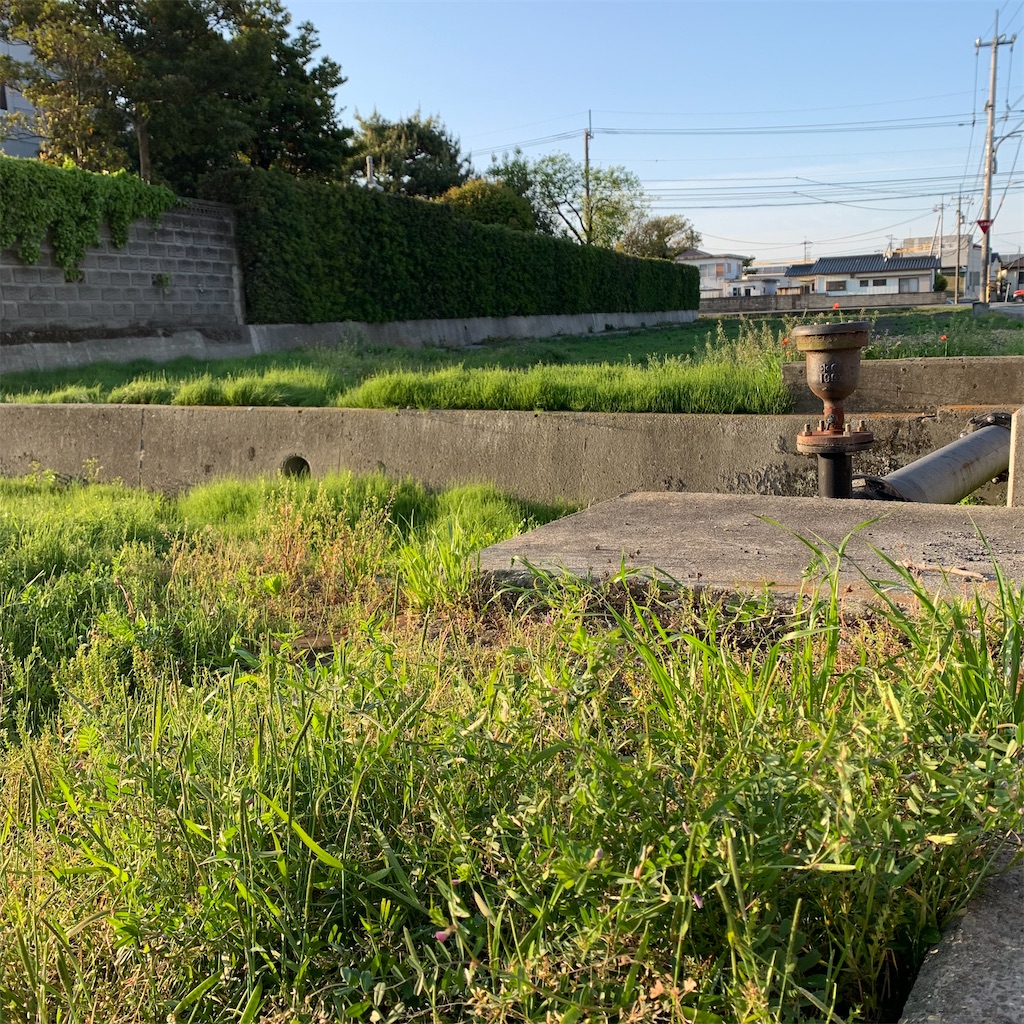 f:id:keikostyle:20210415065219j:image