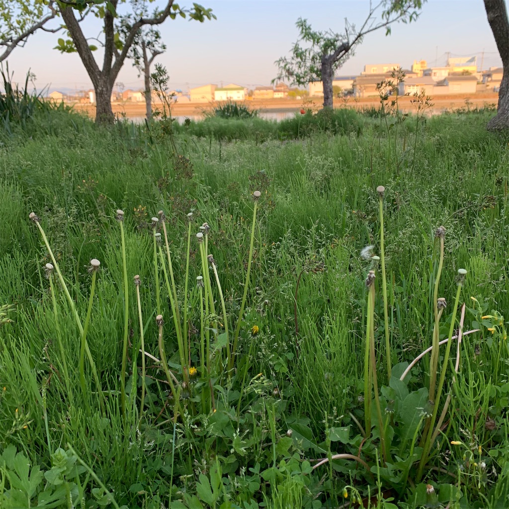 f:id:keikostyle:20210415065246j:image