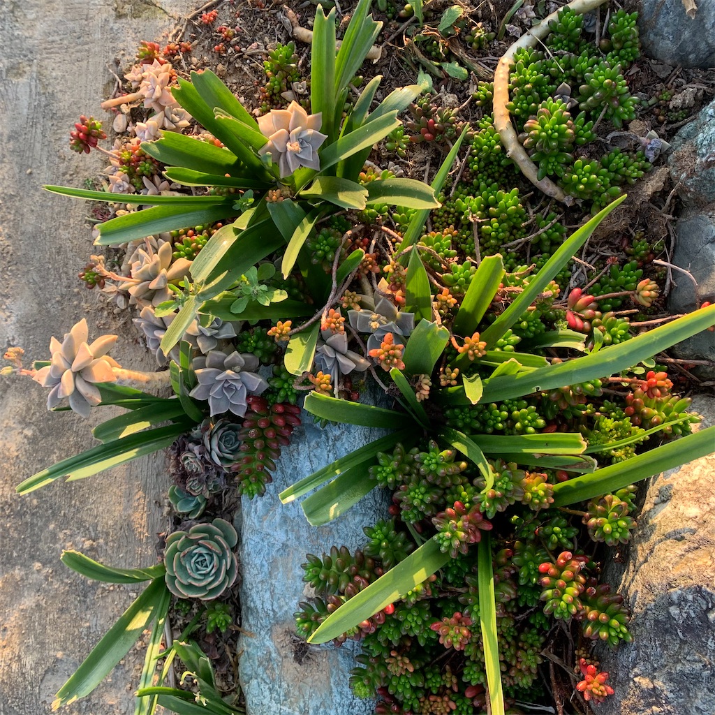 f:id:keikostyle:20210415065257j:image