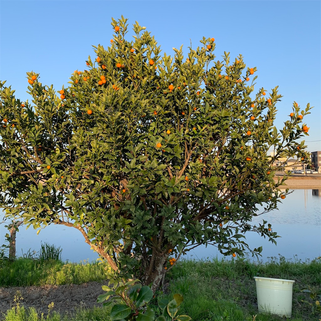 f:id:keikostyle:20210415065304j:image