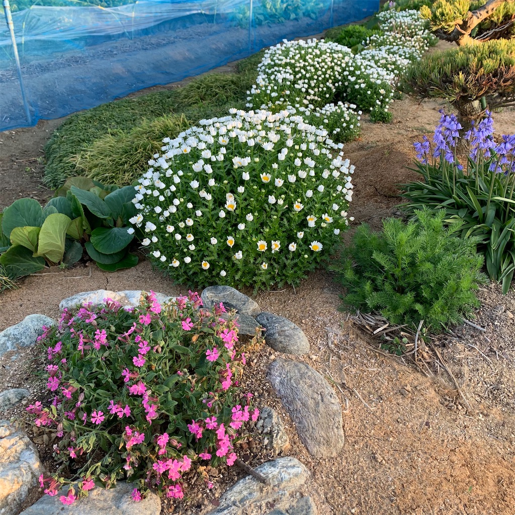 f:id:keikostyle:20210415065308j:image