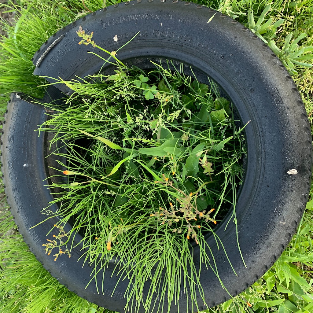 f:id:keikostyle:20210415065323j:image