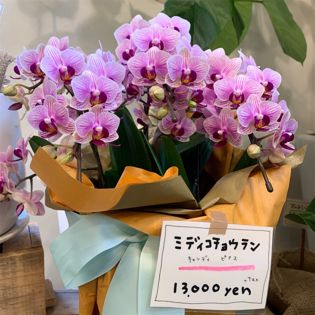 f:id:keikostyle:20210416140007j:image