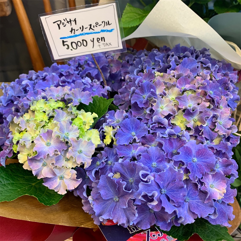 f:id:keikostyle:20210416140153j:image