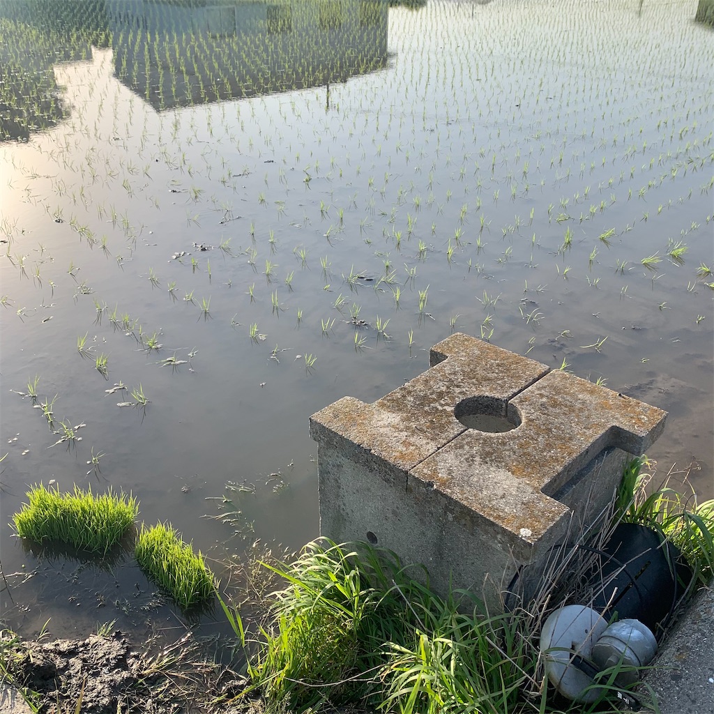 f:id:keikostyle:20210420070831j:image