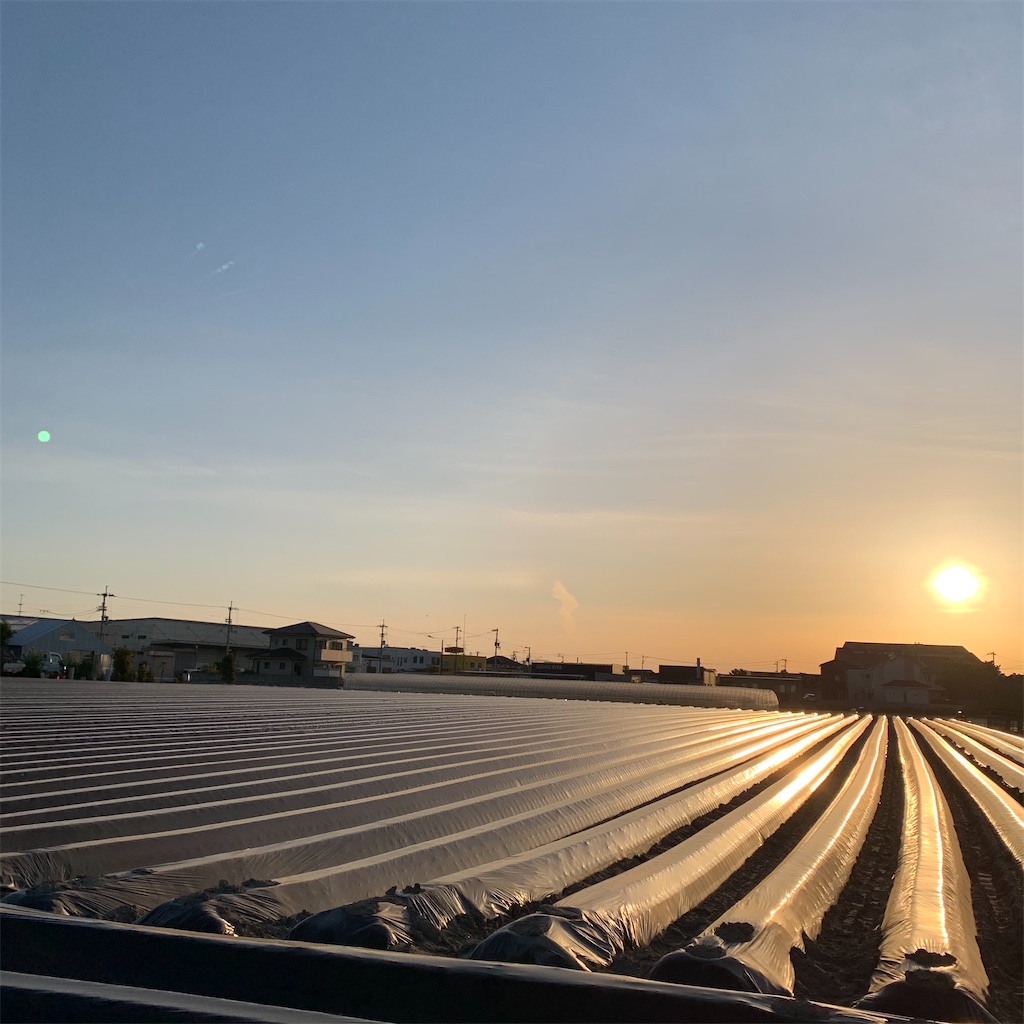 f:id:keikostyle:20210427062000j:image