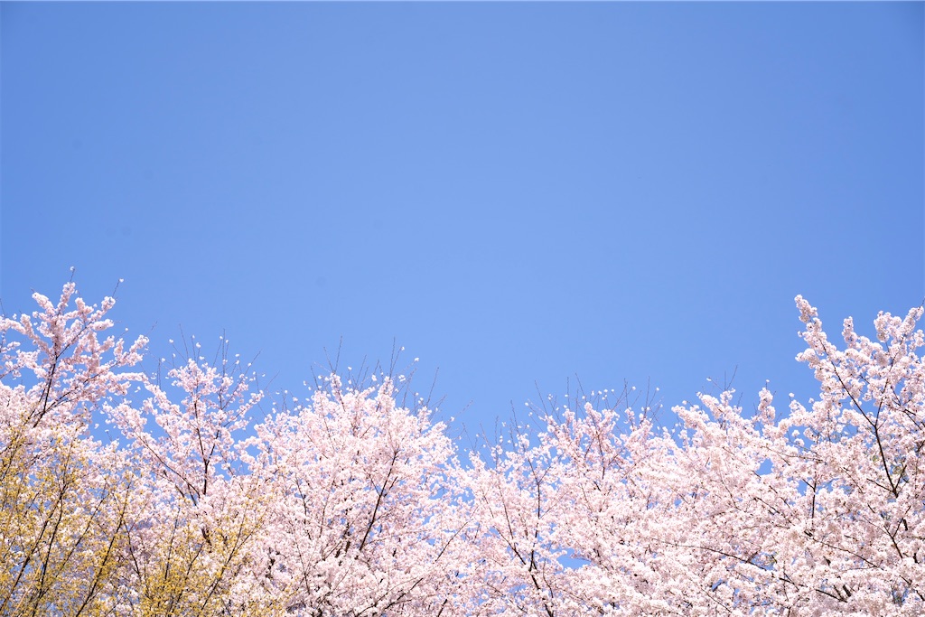 f:id:keikostyle:20210515221314j:image