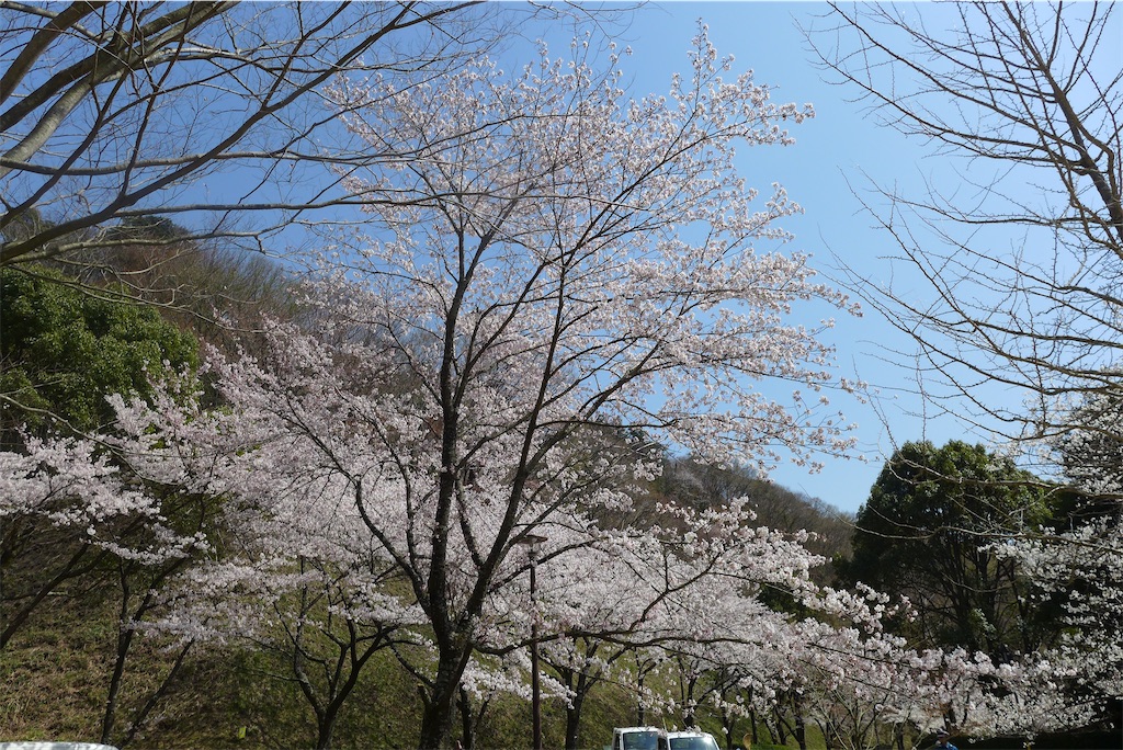 f:id:keikostyle:20210515221331j:image