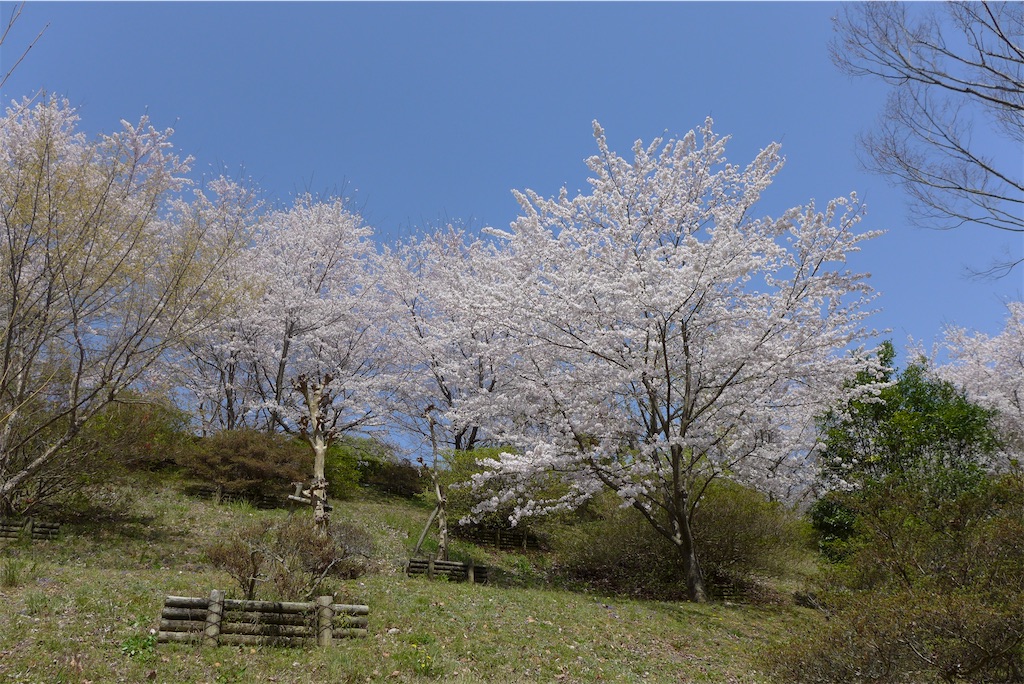 f:id:keikostyle:20210515221338j:image