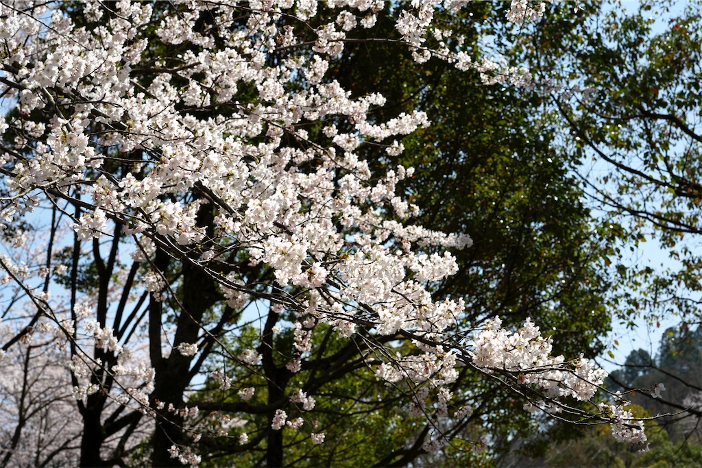 f:id:keikostyle:20210515221401j:image