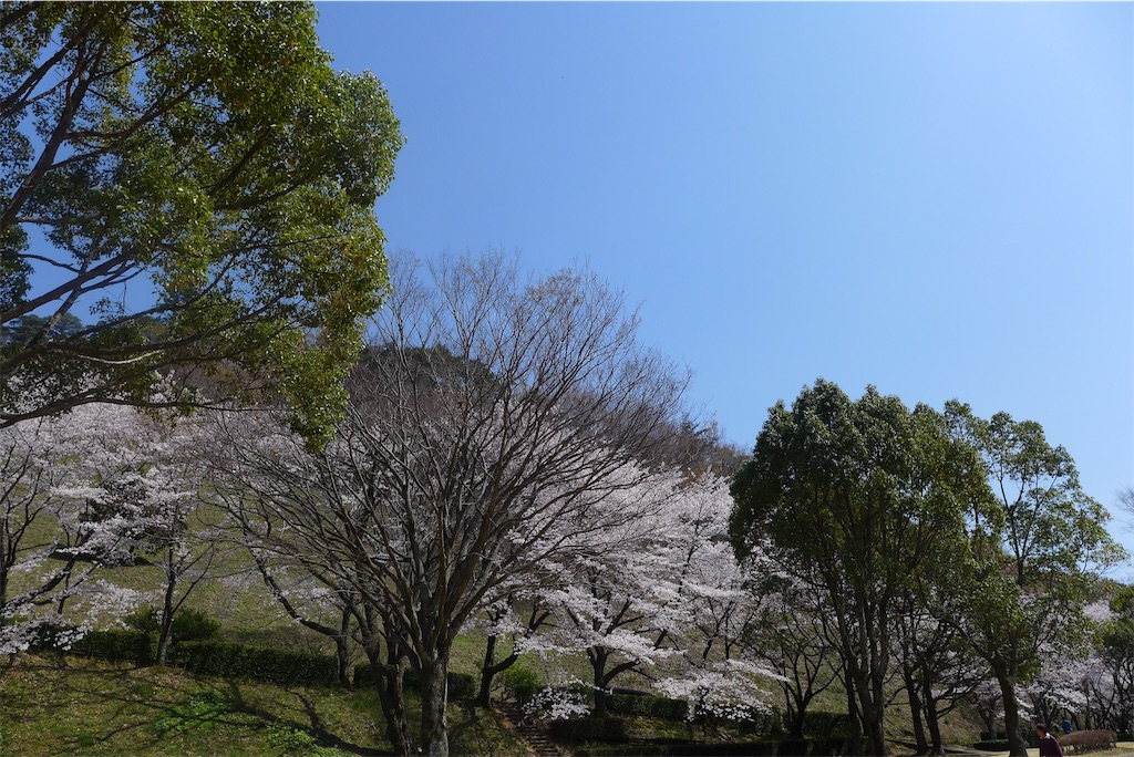 f:id:keikostyle:20210515221409j:image