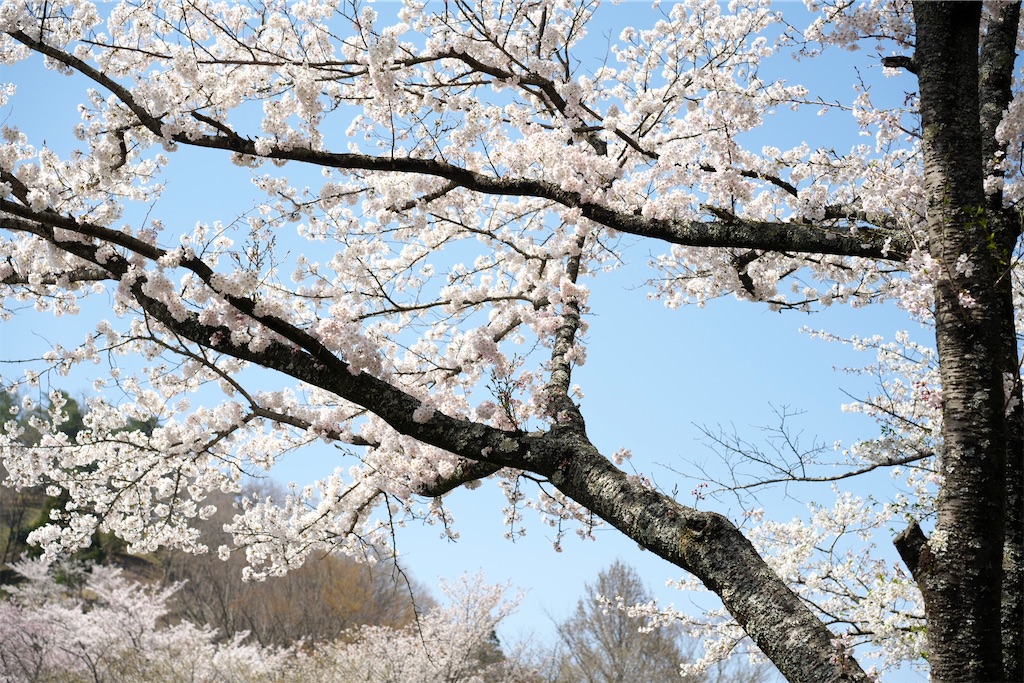 f:id:keikostyle:20210515221421j:image