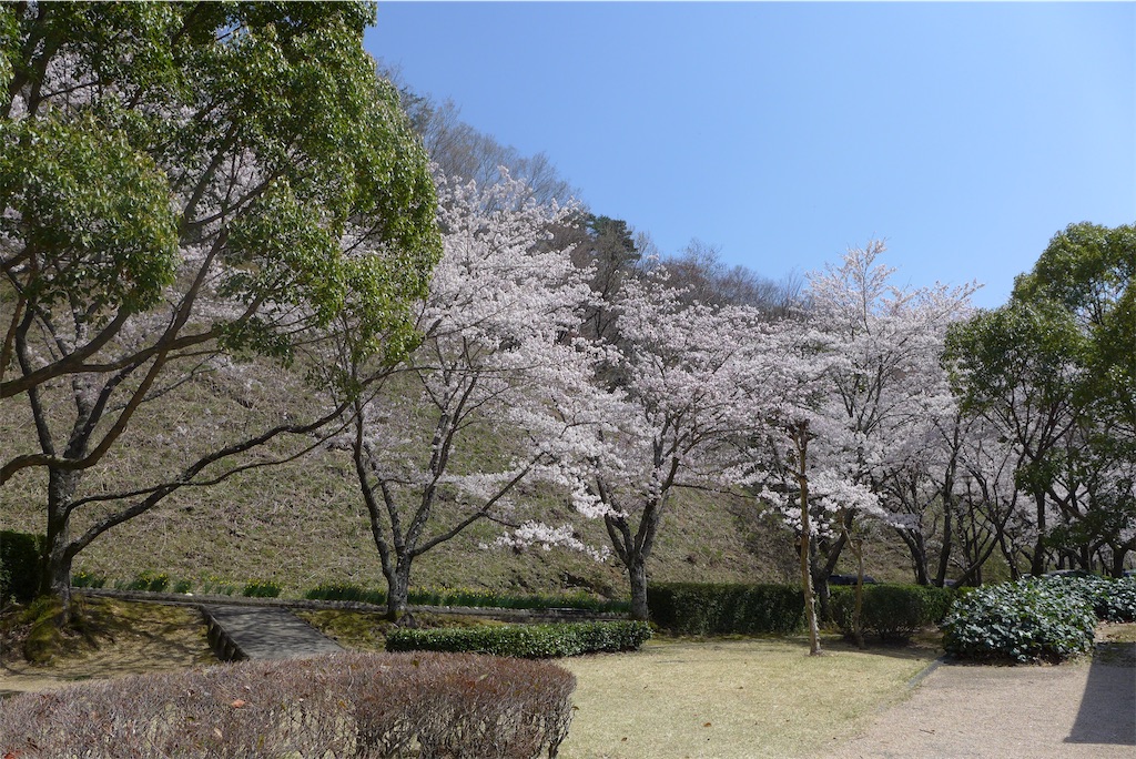 f:id:keikostyle:20210515221427j:image